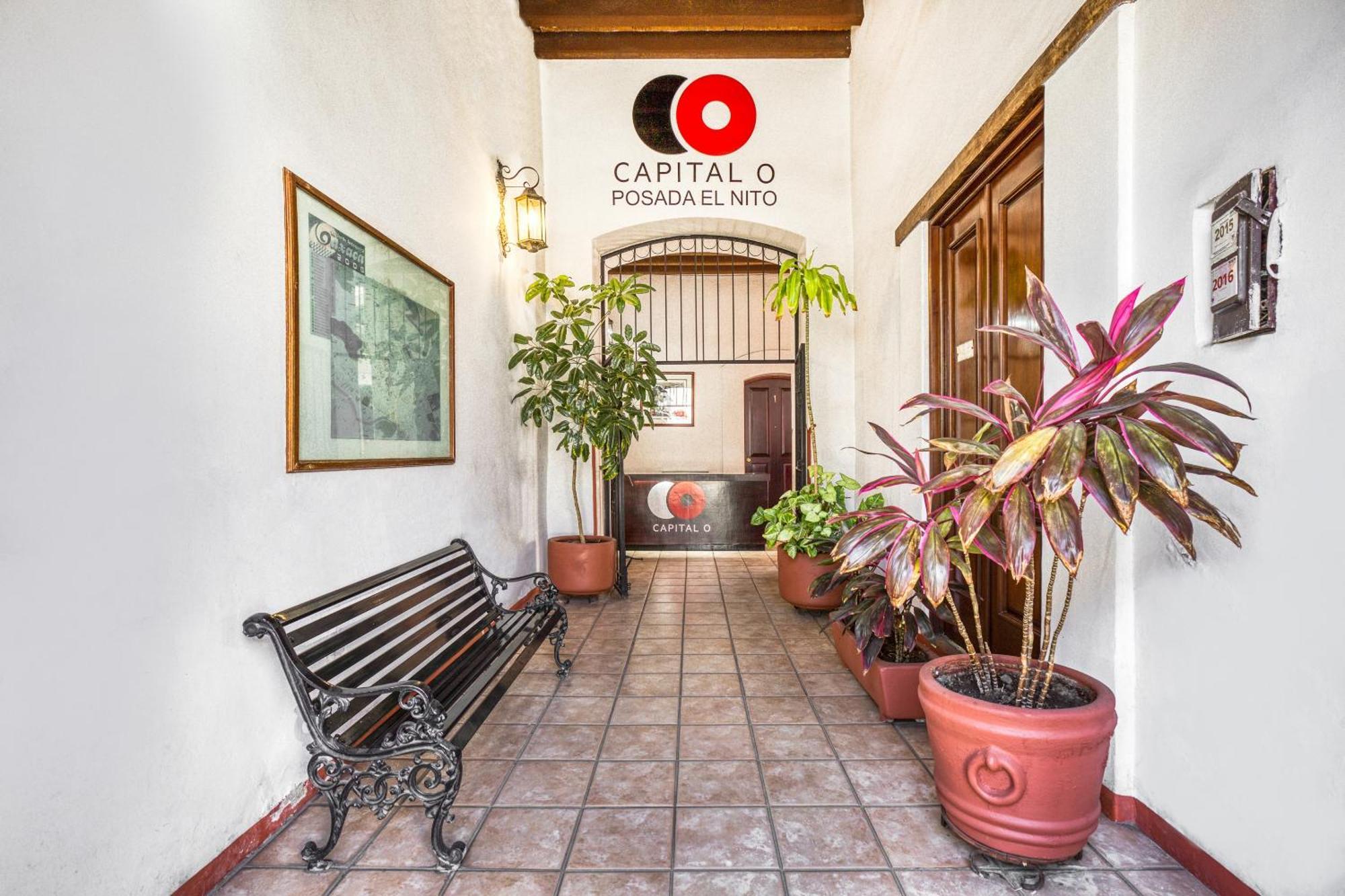 Capital O El Nito Posada Oaxaca Экстерьер фото