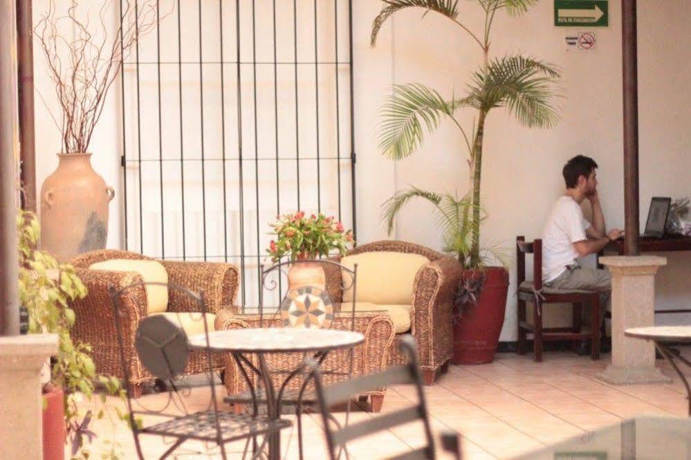 Capital O El Nito Posada Oaxaca Экстерьер фото